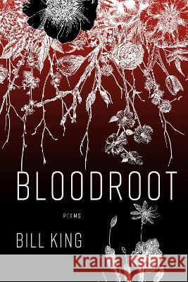 Bloodroot Bill King 9780881469103 Mercer University Press - książka