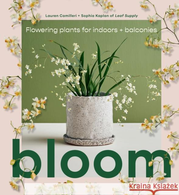 Bloom: Flowering plants for indoors and balconies Sophia Kaplan 9781922417855 Smith Street Books - książka