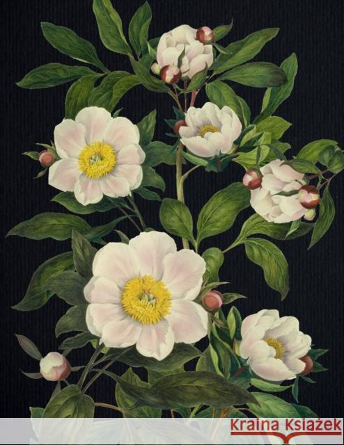 Blooming Flowers Journal Editors of Chartwell Books 9780785844082 Book Sales Inc - książka