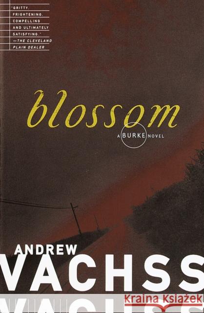 Blossom Andrew H. Vachss 9780679772613 Vintage Books USA - książka