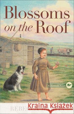 Blossoms on the Roof Rebecca Martin 9780736963671 Harvest House Publishers - książka