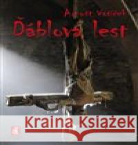 Ďáblova lest Arnošt Vašíček 9788087730461 Mystery Film - książka