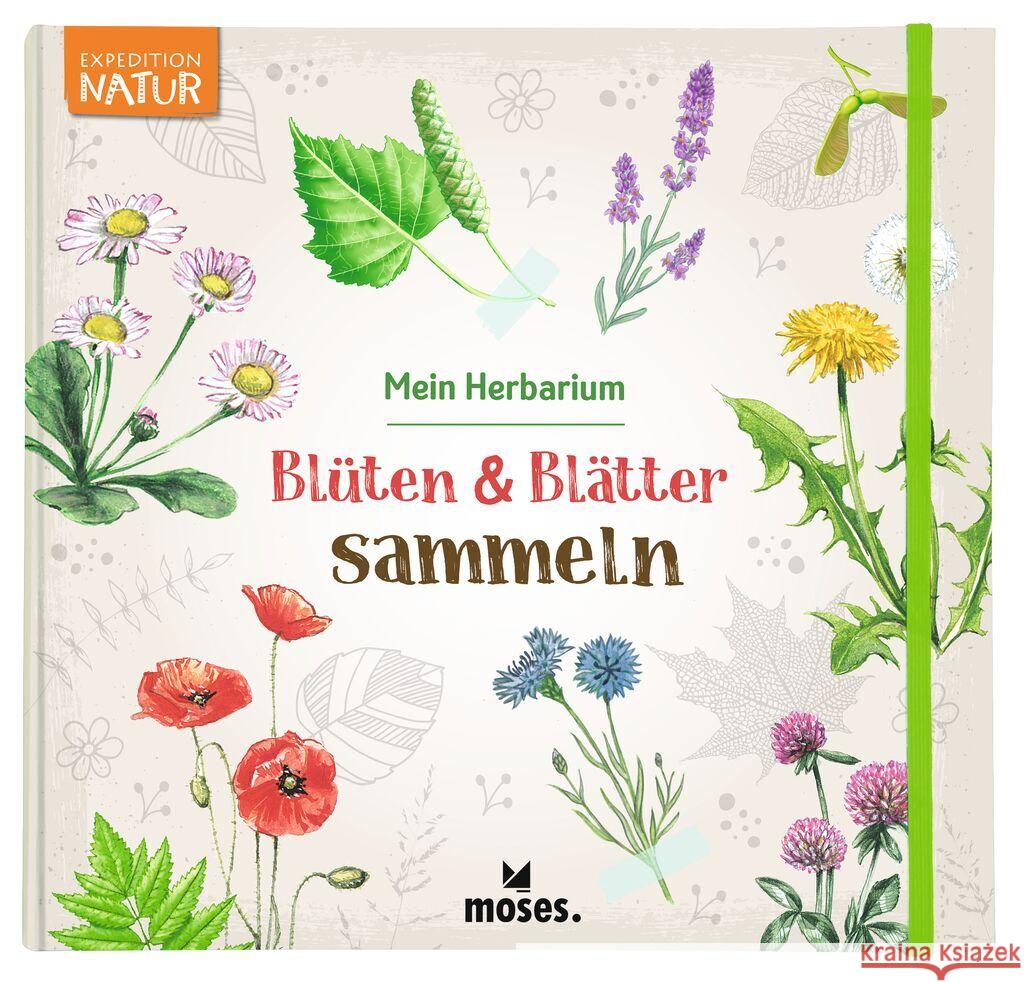 Blüten & Blätter sammeln Küpper, Anke 9783964551924 moses. Verlag - książka