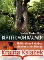 Blätter von Bäumen : Heilkraft und Mythos einheimischer Bäume Fischer-Rizzi, Susanne   9783038003434 AT-Verlag - książka