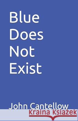 Blue Does Not Exist John Cantellow 9798681195702 Independently Published - książka