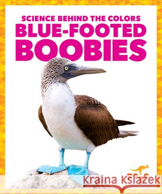 Blue-Footed Boobies Alicia Z. Klepeis 9781645275749 Pogo Books - książka
