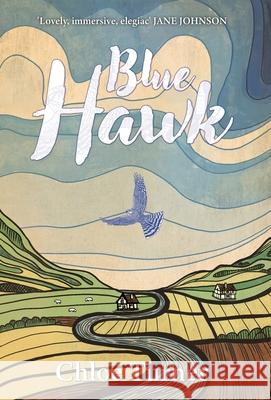 Blue Hawk Chloe Turner 9781917090049 Deixis Press - książka