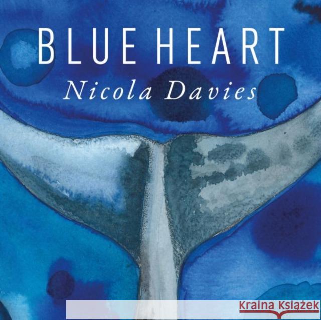 Blue Heart Nicola Davies 9781802587500 Graffeg Limited - książka