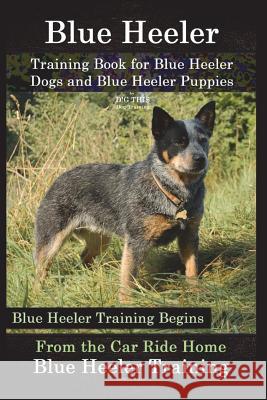 Blue Heeler Training Book for Blue Heeler Dogs and Blue Heeler Puppies By D!G THIS Dog Training: Blue Heeler Training Begins From the Car Ride Home Bl Naiyn, Doug K. 9781721683376 Createspace Independent Publishing Platform - książka