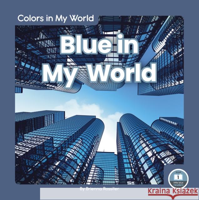 Blue in My World Brienna Rossiter 9781646191574 North Star Editions - książka