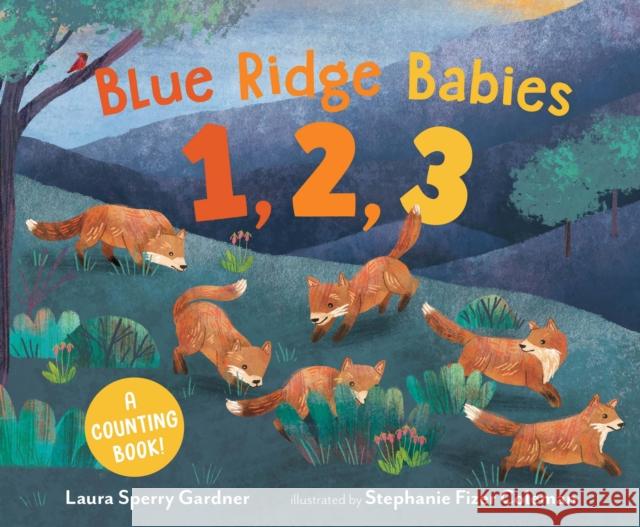 Blue Ridge Babies 1, 2, 3: A Counting Book Laura Sperry Gardner Stephanie Fizer Coleman 9781645670834 Page Street Kids - książka