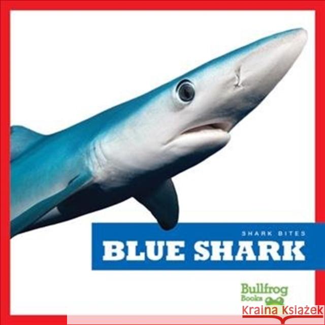 Blue Shark Jenna Le Jenna Lee Gleisner 9781641289573 Jump! Inc. - książka