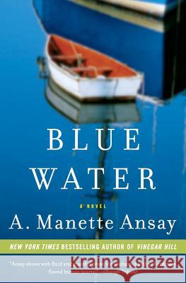 Blue Water A. Manette Ansay 9780380732883 Harper Perennial - książka