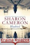 Bluebird Sharon Cameron 9781338355970 Scholastic Inc.
