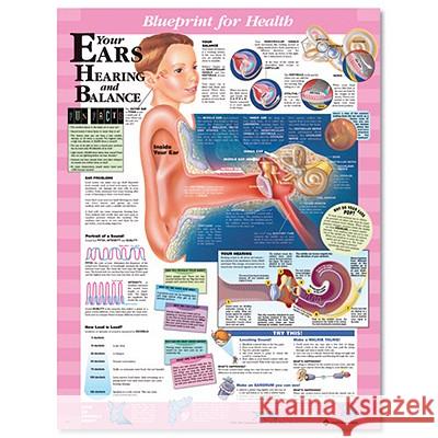 Blueprint for Health Your Ears Chart  9781587797507 ANATOMICAL CHART CO ,U.S. - książka