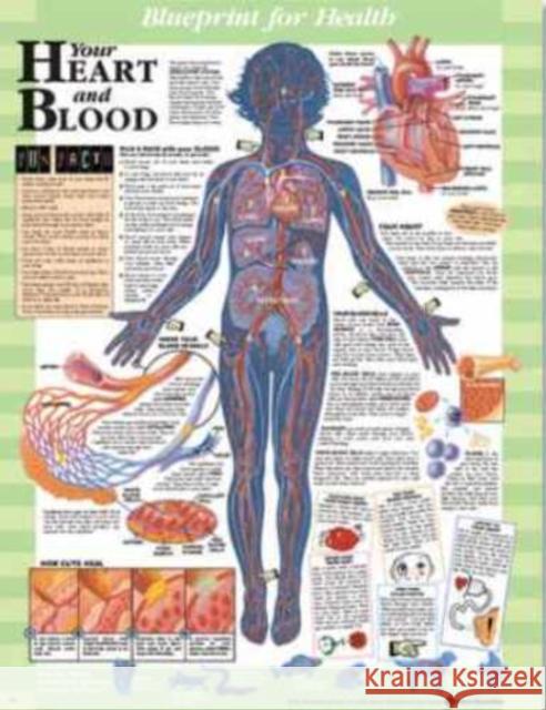 Blueprint for Health Your Heart and Blood Chart  9781587797446 ANATOMICAL CHART CO ,U.S. - książka