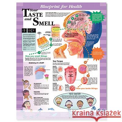 Blueprint for Health Your Taste and Smell Chart  9781587797477 ANATOMICAL CHART CO ,U.S. - książka