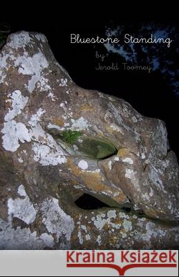 Bluestone Standing Jerold Toomey 9781645305668 Rosedog Books - książka