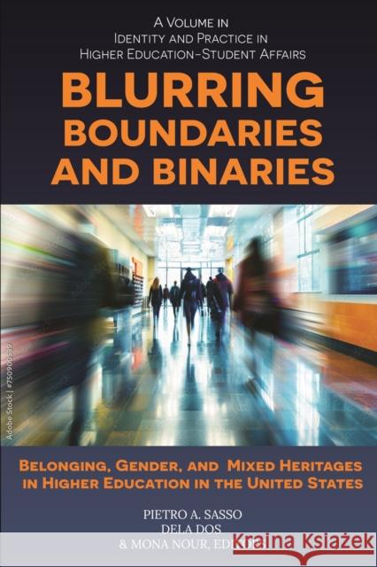 Blurring Boundaries and Binaries  9798887307916 Emerald Publishing Inc - książka