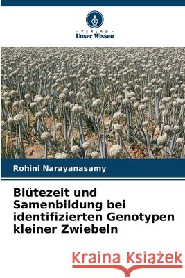 Blütezeit und Samenbildung bei identifizierten Genotypen kleiner Zwiebeln Narayanasamy, Rohini 9786207836772 Verlag Unser Wissen - książka