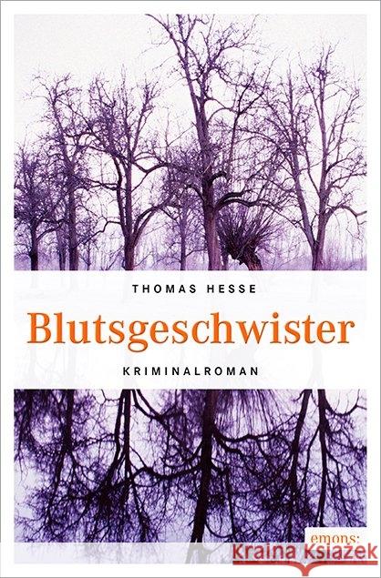 Blutsgeschwister : Kriminalroman Hesse, Thomas 9783954518203 Emons - książka