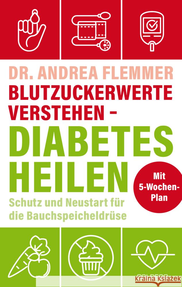 Blutzuckerwerte verstehen - Diabetes heilen Flemmer, Andrea 9783990604540 Goldegg - książka