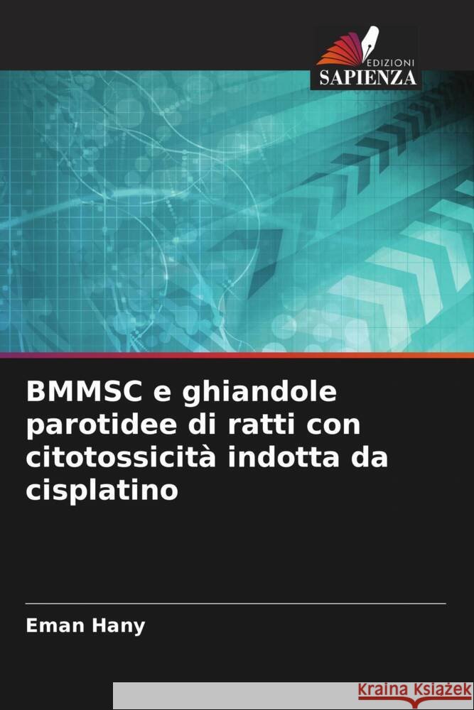 BMMSC e ghiandole parotidee di ratti con citotossicit? indotta da cisplatino Eman Hany 9786205875582 Edizioni Sapienza - książka