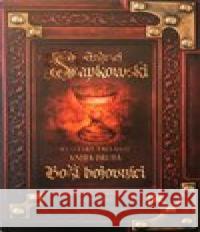 Boží bojovníci Andrzej Sapkowski 9788074770715 Leonardo - książka