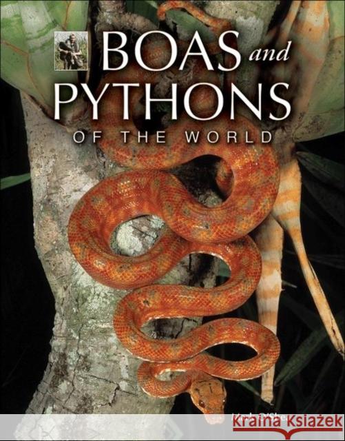 Boas and Pythons of the World Mark O'Shea 9780691150154 Princeton University Press - książka