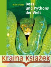 Boas und Pythons der Welt O'Shea, Mark   9783800156337 Ulmer (Eugen) - książka