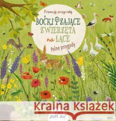 Boćki i zające. Zwierzęta na łące. Polne przygody Katharina Lotz, Lucy Barnard, Magdalena Jałowiec 9788383530468 Jedność - książka