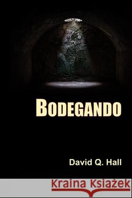 Bodegando David Q. Hall 9781948894159 Tree Shadow Press - książka