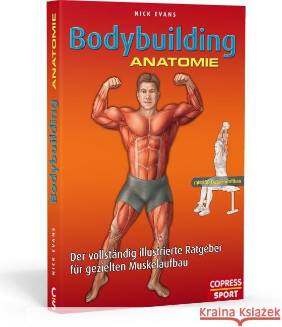 Bodybuilding Anatomie : Der vollständig illustrierte Ratgeber für gezielten Muskelaufbau Evans, Nick 9783767911970 Copress - książka