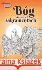 Bóg w swoich sakramentach Andrzej Ochman 9788396228994 HOTbook - książka