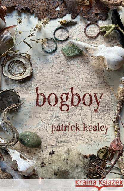 Bogboy Patrick Kealey 9781917000086 Constellations Press - książka
