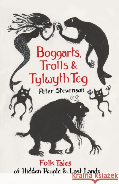 Boggarts, Trolls and Tylwyth Teg: Folk Tales of Hidden People and Lost Lands Peter Stevenson 9780750995627 The History Press Ltd - książka