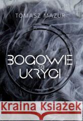 Bogowie są ukryci Tomasz Mazur 9788394248147 Bookplan.pl - książka