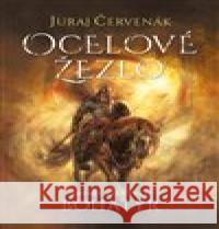 Bohatýr I - Ocelové žezlo Juraj Červenák 9788025738702 Argo - książka