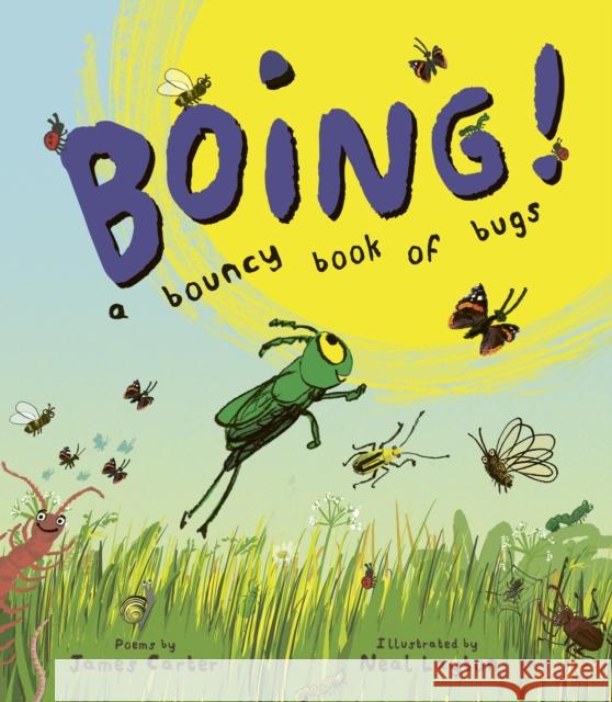 BOING! A Bouncy Book of Bugs James Carter 9781915659507 Otter-Barry Books Ltd - książka