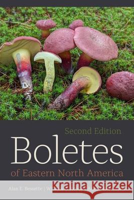 Boletes of Eastern North America Arleen R. Bessette 9780815611653 Syracuse University Press - książka