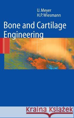 Bone and Cartilage Engineering Ulrich Meyer Hans Peter Wiesmann 9783540253471 Springer - książka