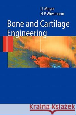 Bone and Cartilage Engineering Ulrich Meyer Hans Peter Wiesmann Thomas Meyer 9783642064685 Springer - książka