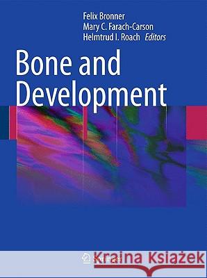 Bone and Development Felix Bronner Mary C. Farach-Carson H. I. (Trudy) Roach 9781848828216 Springer - książka