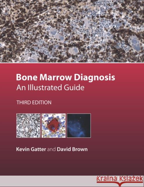 Bone Marrow Diagnosis: An Illustrated Guide Gatter, Kevin; Brown, David 9781118253656 John Wiley & Sons - książka