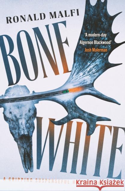 Bone White: A gripping suspenseful horror thriller Ronald Malfi 9781804366738 Canelo - książka