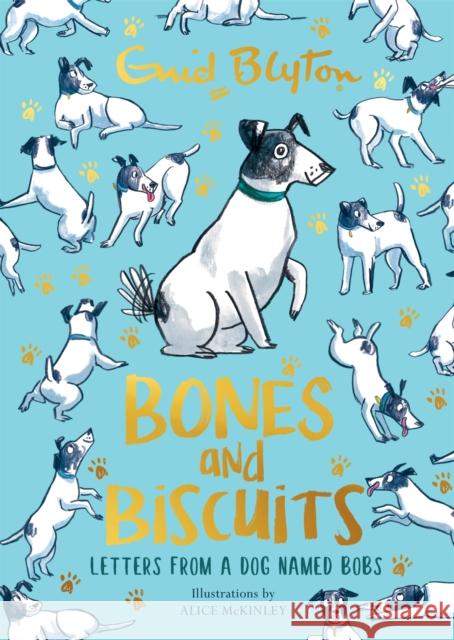 Bones and Biscuits: Letters from a Dog Named Bobs Enid Blyton 9781444956122 Hachette Children's Group - książka