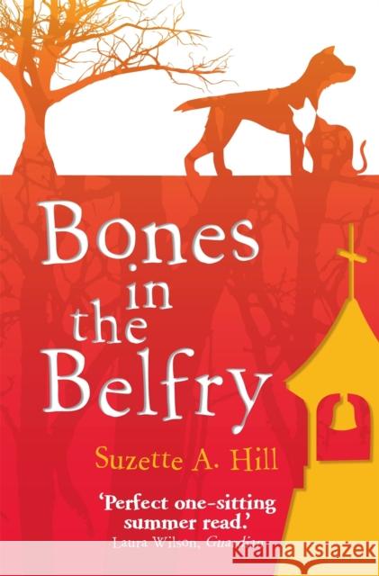 Bones in the Belfry Suzette Hill 9781780332482  - książka
