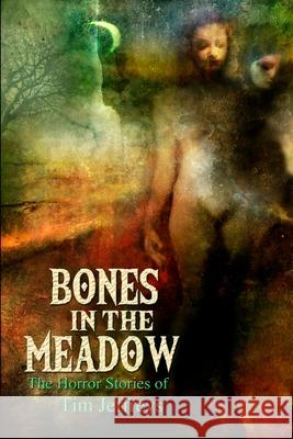 Bones in the Meadow and other weird tales Tim Jeffreys 9781291557527 Lulu.com - książka