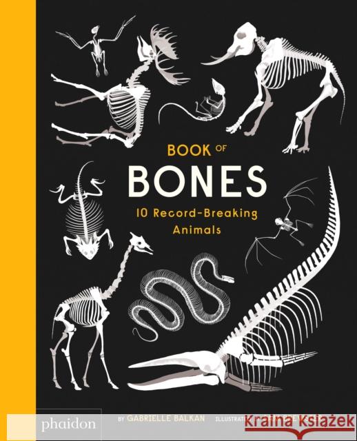 Book of Bones Balkan, Gabrielle 9780714875118  - książka