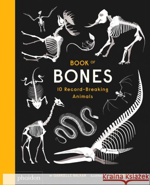 Book of Bones: 10 Record-Breaking Animals Gabrielle Balkan 9780714875118 Phaidon Press Ltd - książka